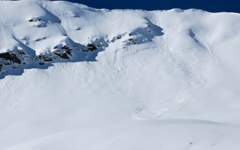 Purple Mountain