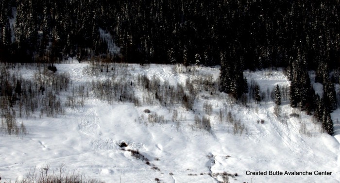 Peanut Lake Road. NE aspect below treeline