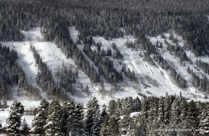 Peanut Lake Road. NE aspect below treeline