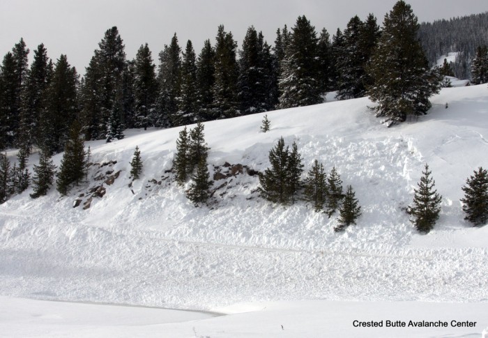 Slate River Road. NE aspect below treeline