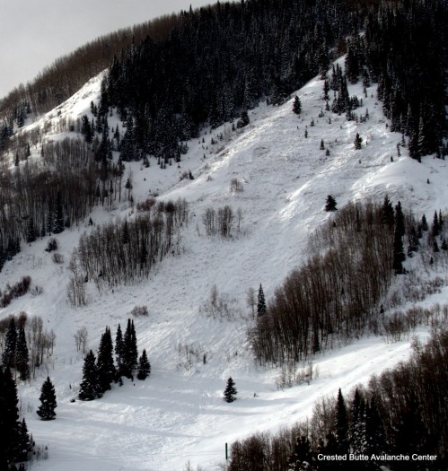 Gibson Ridge. Northeast aspect below treeline