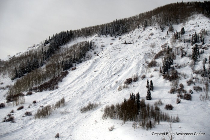Gibson Ridge. East aspect below treeline