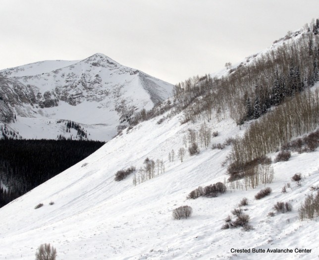 Gibson Ridge. East aspect below treeline