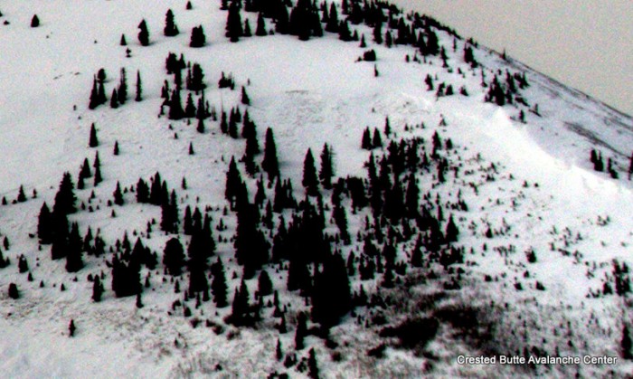 Whetstone Mtn. East aspect near treeline