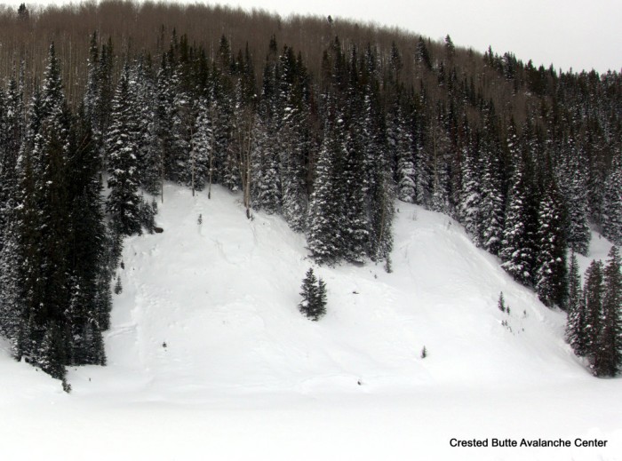 Washington Gulch. NE aspect below treeline