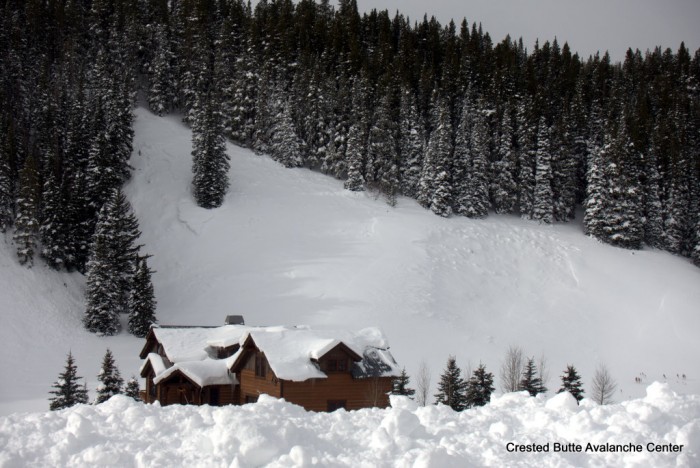 Washington Gulch. NE aspect below treeline