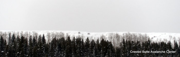 Above Meridian Lake. NE aspect below treeline