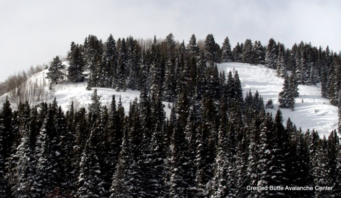 Natural and remotely (?) triggered slides in Washington Gulch. E aspect below treeline