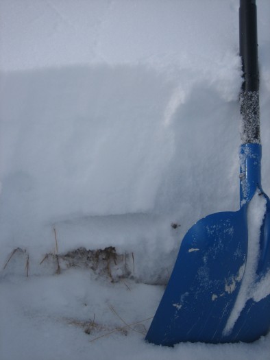 Bed surface of Christmas cycle slide. ESE aspect ATL. Advanced facets forming above crusty bed surface. 
