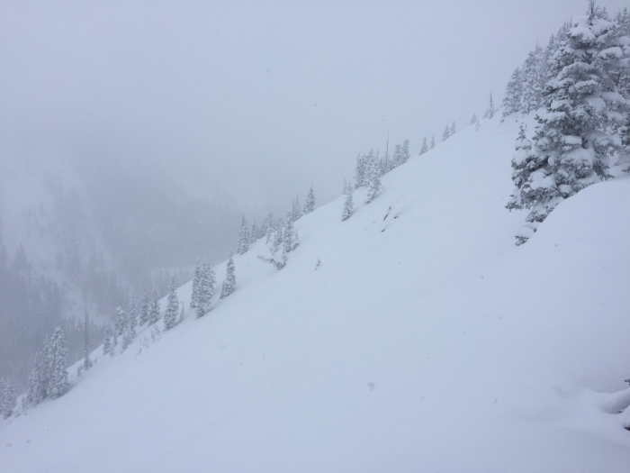 image4_2_