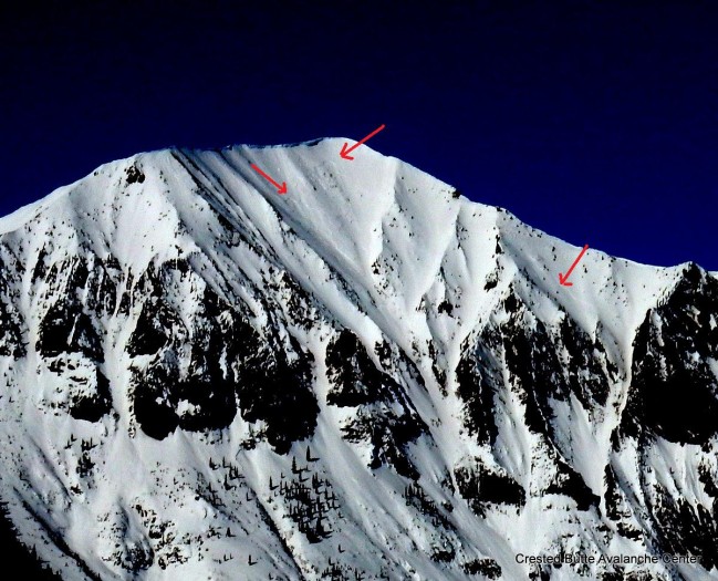 Crowns from 2/1 cycle. East face of Gothic.