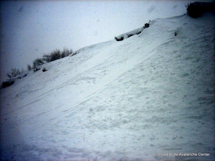 Widespread shallow storm slabs ran naturally on all aspects, but put debris down along Kebler Pass Road in a number of places.