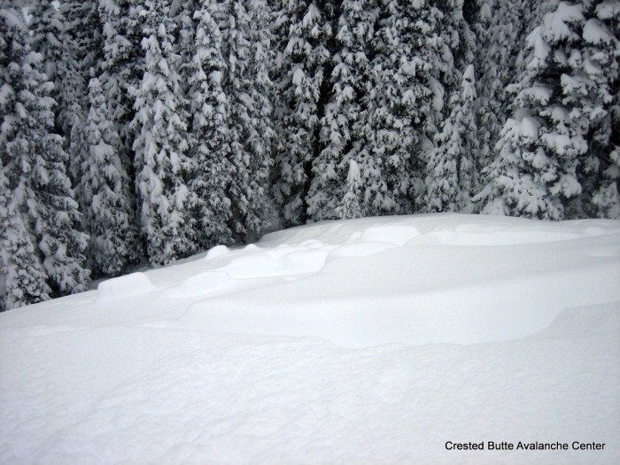 Natural soft slab on 1/29 interface. East aspect below treeline. Either failed on facets or surface hoar.  SS-N-R2-D1.5-I