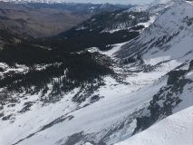 Photos taken October 29th