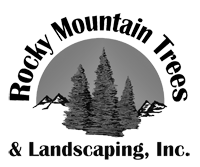 Rocky Mountain Trees